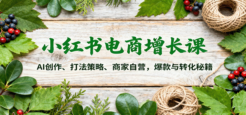 小红书电商增长课：AI创作、打法策略、商家自营，爆款与转化秘籍-搞钱利器