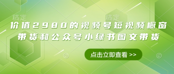价值2980的视频号短视频橱窗带货和公众号小绿书图文带货-搞钱利器