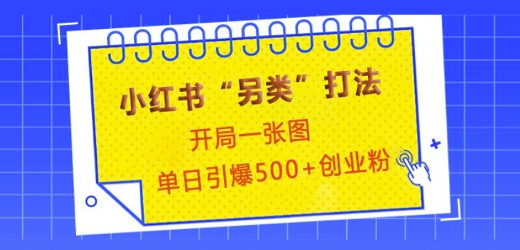 小红书“另类”打法，开局一张图，单日引爆500+精准创业粉【揭秘】-搞钱利器