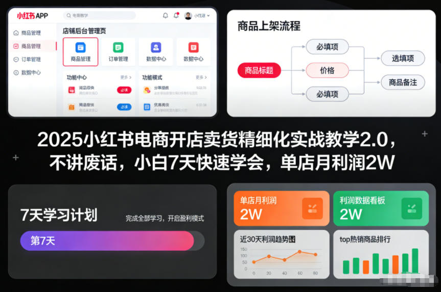 2025小红书电商开店卖货精细化实战教学2.0，不讲废话，小白7天快速学会，单店月利润2W-搞钱利器