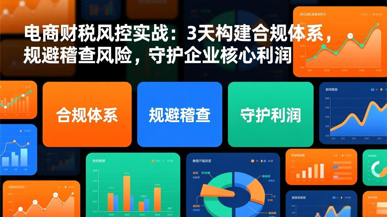 电商财税风控实战：3天构建合规体系，规避稽查风险，守护企业核心利润-搞钱利器