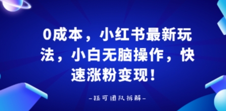 0成本，小红书最新玩法，小白无脑操作，快速涨粉变现-搞钱利器