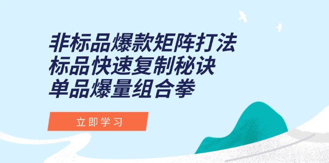 非标品爆款矩阵打法，标品快速复制秘诀，单品爆量组合拳-搞钱利器