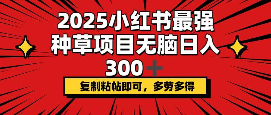 2025小红书最强种草项目，无脑日入300+，复制粘帖即可，多劳多得-搞钱利器