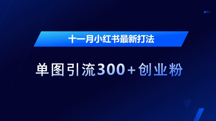 十一月小红书最新打法，单图引流300+创业粉【揭秘】-搞钱利器