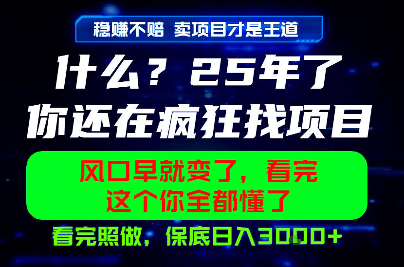 26年，请不要疯狂的找项目做了！卖项目才是真的稳賺不赔，看完照做，保底日入1k+【揭秘】-搞钱利器