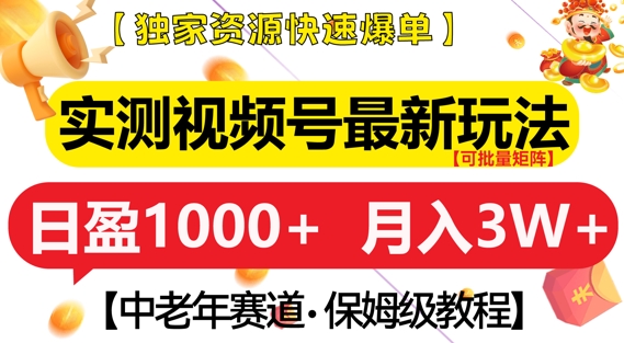 实测视频号最新玩法，中老年赛道，独家资源，月入过W+【揭秘】-搞钱利器