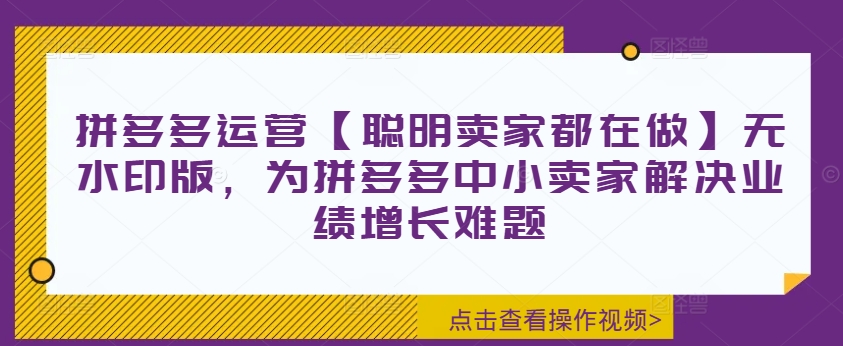 拼多多运营【聪明卖家都在做】无水印版，为拼多多中小卖家解决业绩增长难题-搞钱利器