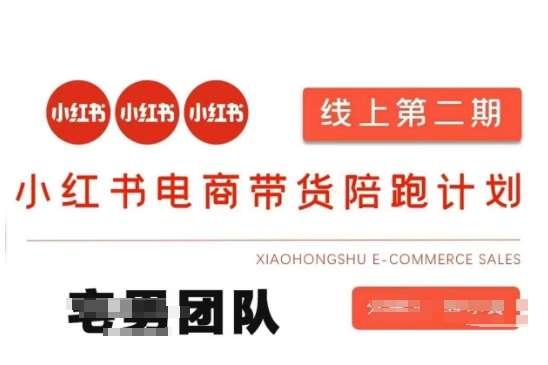 小红书电商带货课2期，月利润20个的小红书电商的有货源，无货源，虚拟产品，付费投流等整套玩法-搞钱利器