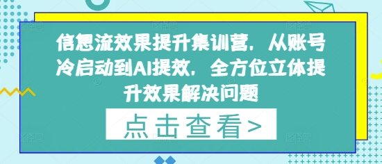 信息流效果提升集训营，从账号冷启动到AI提效，全方位立体提升效果解决问题-搞钱利器