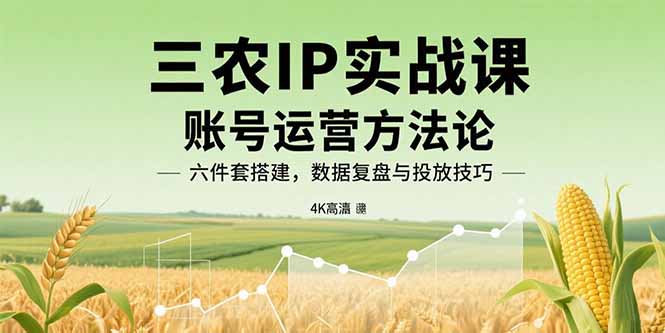 三农IP实战课：账号运营方法论，六件套搭建，数据复盘与投放技巧-搞钱利器