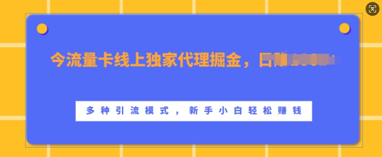 流量卡线上独家代理掘金，日入1k+ ，多种引流模式，新手小白轻松上手【揭秘】-搞钱利器