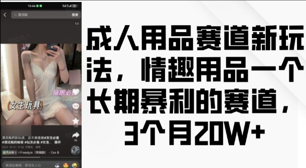 成人用品赛道新玩法，情趣用品一个长期暴利的赛道，3个月收益20个【揭秘】-搞钱利器