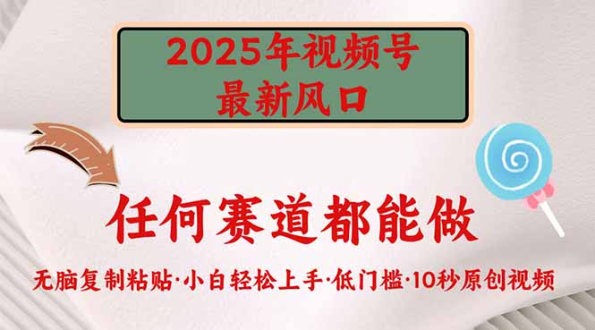 2025年视频号新风口，低门槛只需要无脑执行-搞钱利器