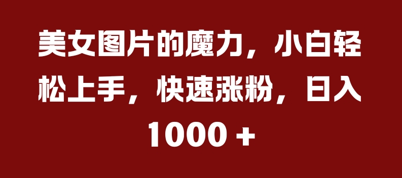 美女图片的魔力，小白轻松上手，快速涨粉，日入几张【揭秘】-搞钱利器