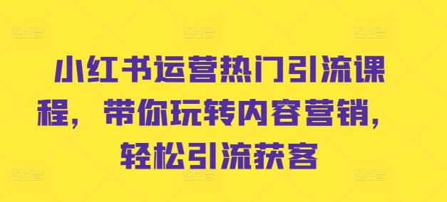 小红书运营热门引流课程，带你玩转内容营销，轻松引流获客-搞钱利器