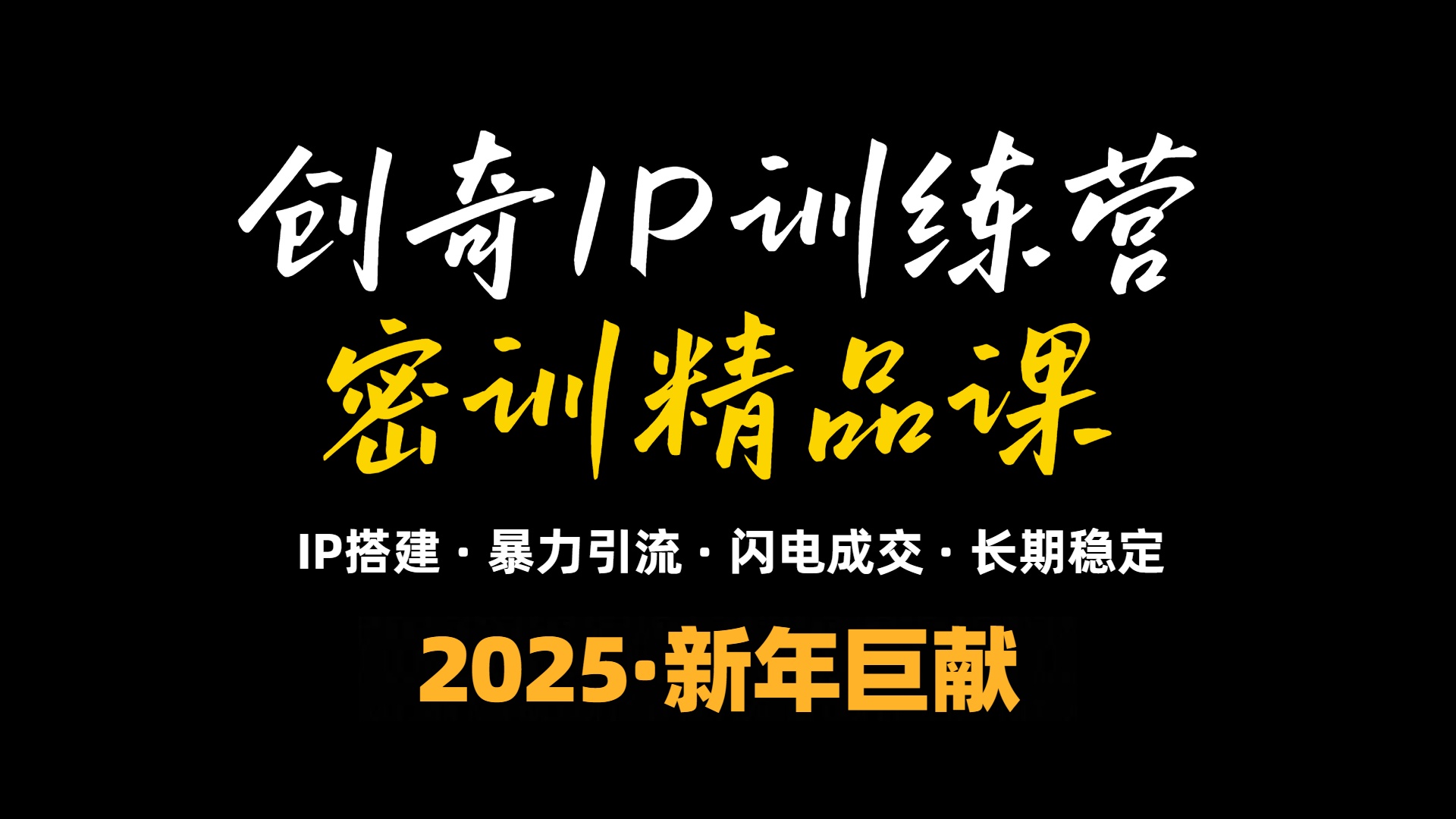 2025年“知识付费IP训练营”小白避坑年赚百万，暴力引流，闪电成交-搞钱利器