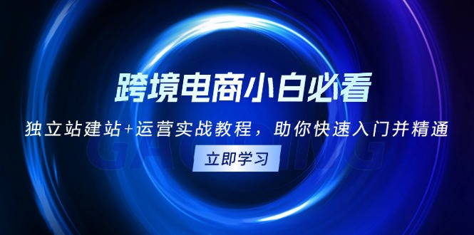 跨境电商小白必看！独立站建站+运营实战教程，助你快速入门并精通-搞钱利器