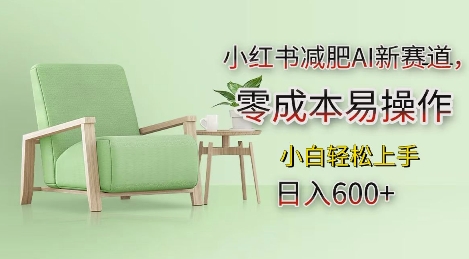 小红书减肥AI新赛道，零成本易操作，日入多张，小白轻松上手【揭秘】-搞钱利器