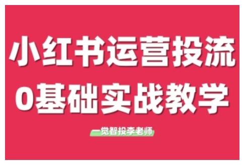 小红书运营投流，小红书广告投放从0到1的实战课，学完即可开始投放(更新)-搞钱利器