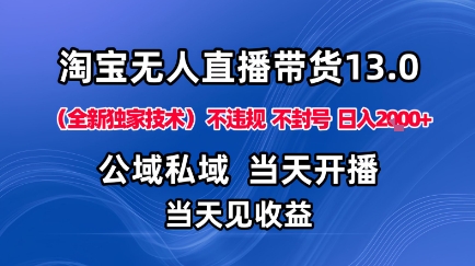 淘宝无人直播13.0，公域私域技术，不封号，不违规布局下半年旺季赛道，日入1K+(独家技术)【揭秘】-搞钱利器
