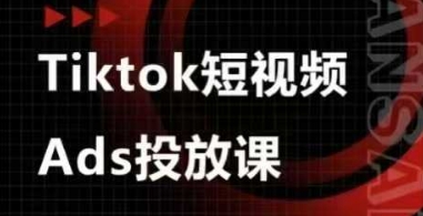 Ads视频投放课，tiktok短视频广告投放课-搞钱利器