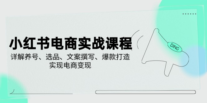 小红书电商实战课程，详解养号、选品、文案撰写、爆款打造，实现电商变现-搞钱利器