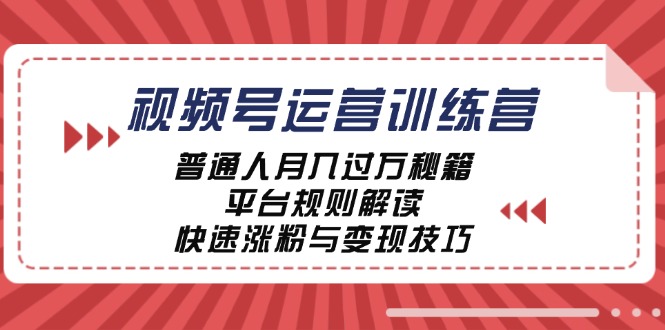 视频号运营训练营：普通人月入过万秘籍，平台规则解读，快速涨粉与变现-搞钱利器