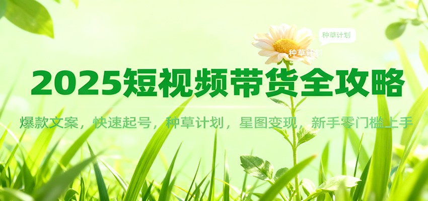 2025短视频带货全攻略：爆款文案，快速起号，种草计划，星图变现，新手零门槛上手-搞钱利器