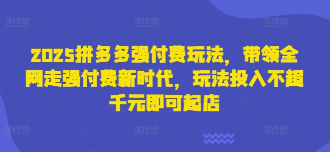 2025拼多多强付费玩法，带领全网走强付费新时代，玩法投入不超千元即可起店-搞钱利器