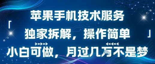 苹果手机技术服务，独家拆解，操作简单，小白可做，月过1W不是梦-搞钱利器