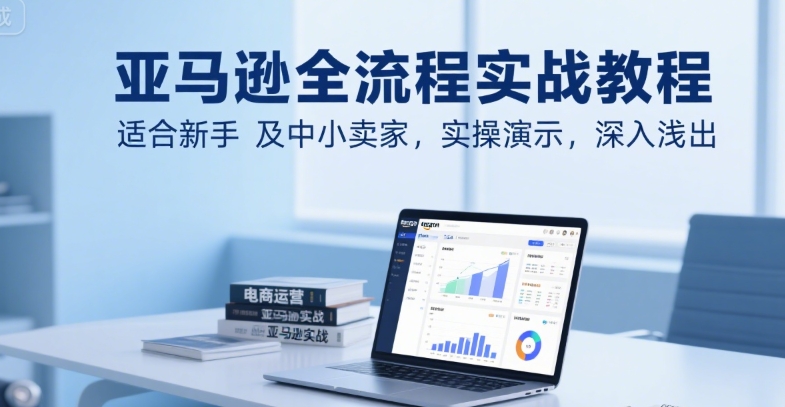 亚马逊全流程实战教程，适合新手及中小卖家，实操演示，深入浅出-搞钱利器