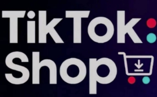 TikTokShop跨境电商0-1实战，手把手教你低成本启动海外市场(更新)-搞钱利器