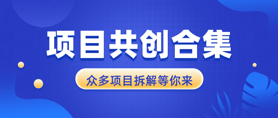 项目共创合集，从0-1全过程拆解，让你迅速找到适合自已的项目-搞钱利器