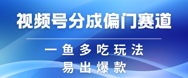 视频号创作者分成计划偏门类目，容易爆流，实拍内容简单易做【揭秘】-搞钱利器