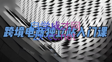 团长·跨境电商独立站入门课(2小时精华)-搞钱利器