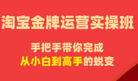 飓风电商·淘宝金牌运营实操班-搞钱利器
