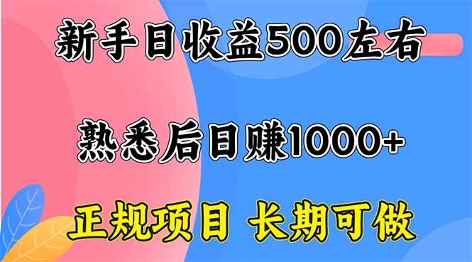 新手日收益500+ 正规项目 长期可做-搞钱利器