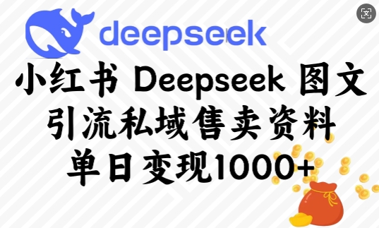 小红书Deepseek图文引流私域售卖资料，单日变现多张-搞钱利器