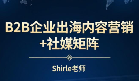 shirle老师·B2B企业出海内容营销+社媒矩阵-搞钱利器
