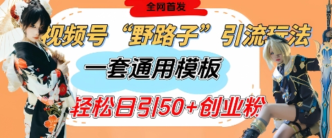 视频号“野路子”玩法，评论区疯狂截流，一套模板单日单号引流50+创业粉-搞钱利器