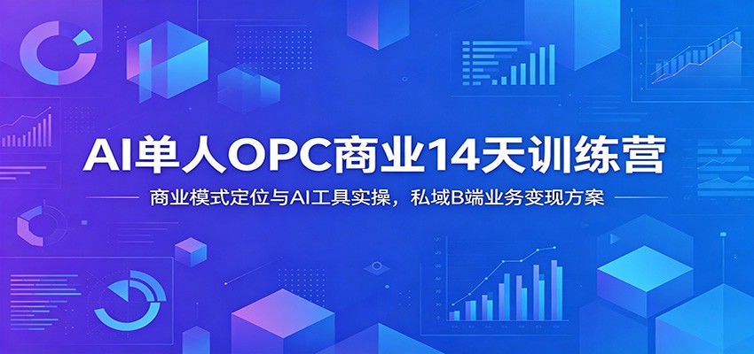 AI单人OPC商业14天训练营：商业模式定位与AI工具实操，私域B端业务变现方案-搞钱利器
