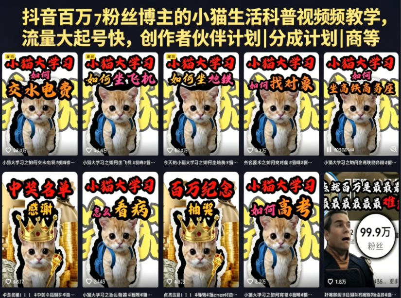 抖音百万粉丝博主的小猫生活科普视频教学，流量大起号快，创作者伙伴计划|分成计划|商单|收徒等-搞钱利器