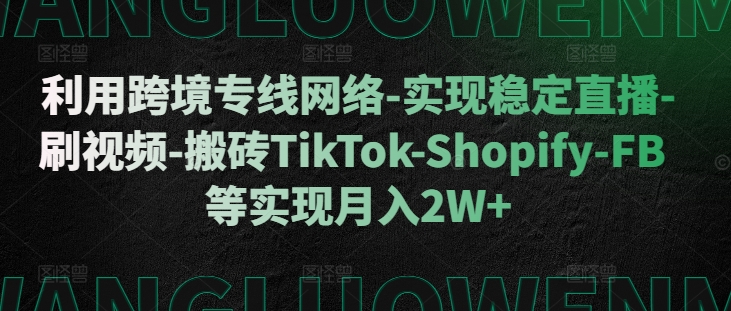 利用跨境专线网络-实现稳定直播-刷视频-搬砖TikTok-Shopify-FB等实现月入2W+【揭秘】-搞钱利器