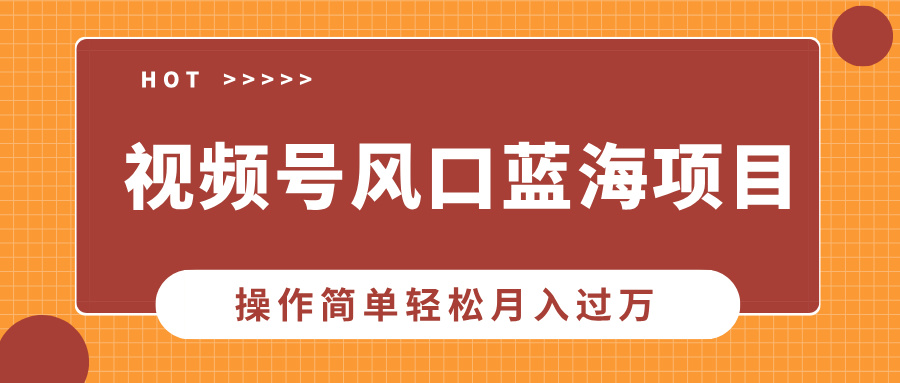 视频号风口蓝海项目，中老年人的流量密码，操作简单轻松月入过万-搞钱利器