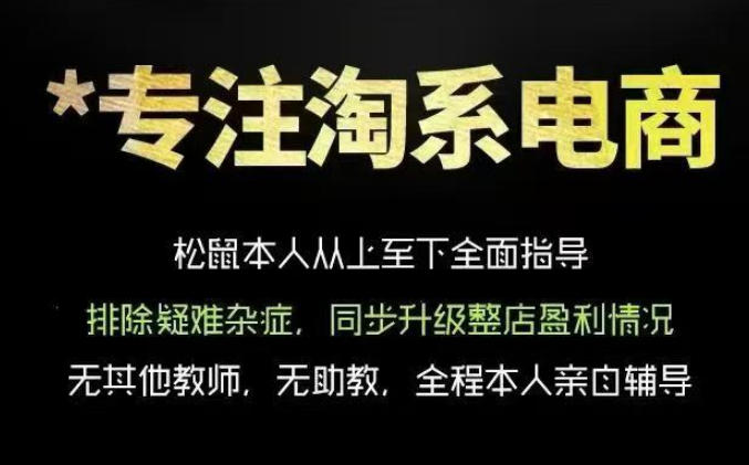 松鼠会电商VIP课程，从基础布局到高阶优化，助你掌握淘宝运营逻辑，提升店铺流量与转化(更新0809)-搞钱利器
