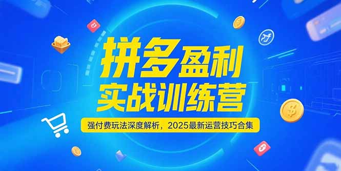 拼多多盈利实战训练营，强付费玩法深度解析，2025运营技巧合集-更新6月-搞钱利器
