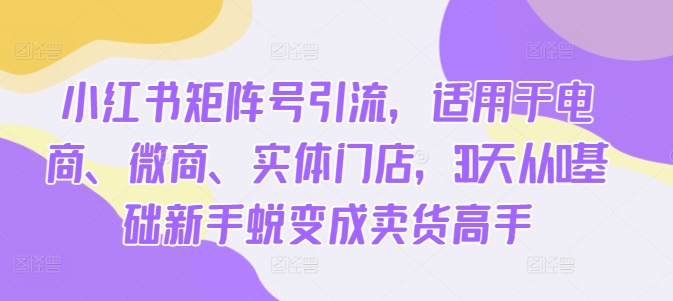 小红书矩阵号引流，适用于电商、微商、实体门店，30天从0基础新手蜕变成卖货高手-搞钱利器