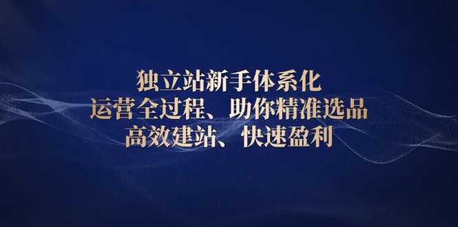 独立站新手体系化 运营全过程，助你精准选品、高效建站、快速盈利-搞钱利器