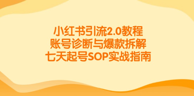 小红书引流2.0教程，账号诊断与爆款拆解，七天起号SOP实战指南-搞钱利器